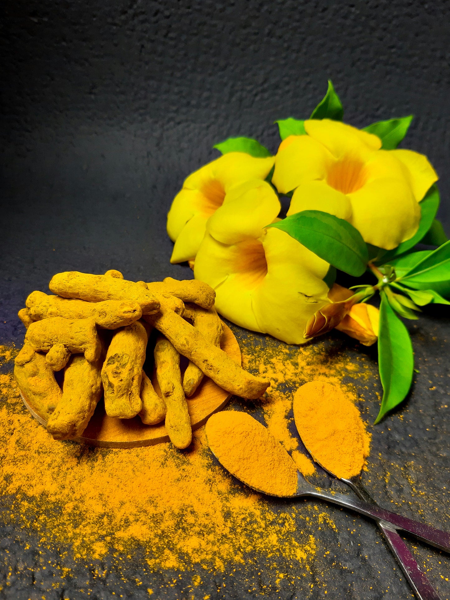 Poudre de Curcuma