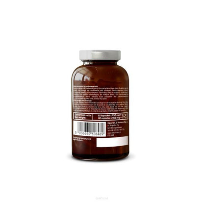 Nr 10. Weight Management Premix Probiotic