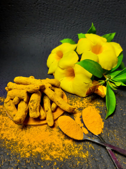 Poudre de Curcuma